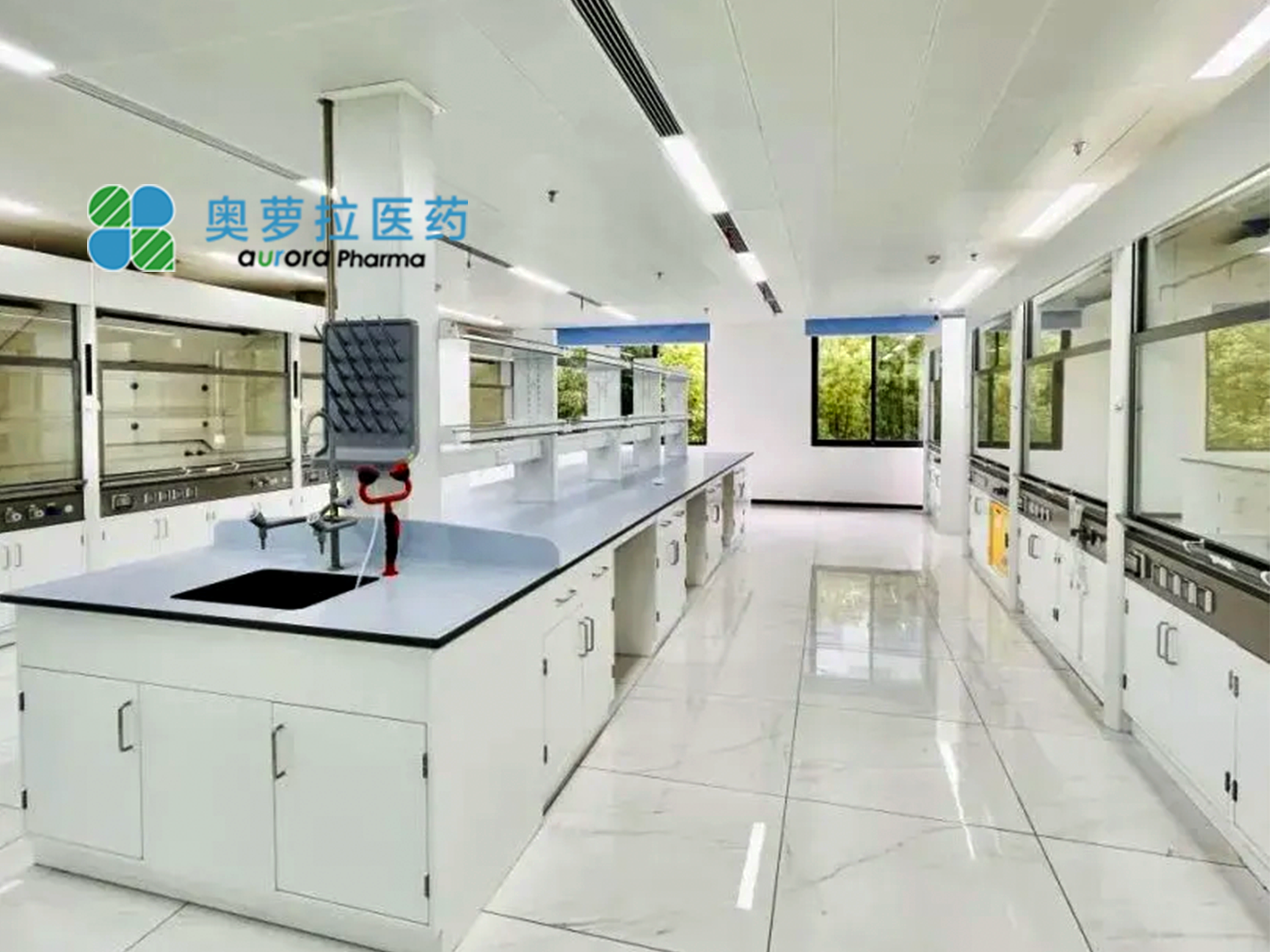 上海奥萝拉医药有限公司